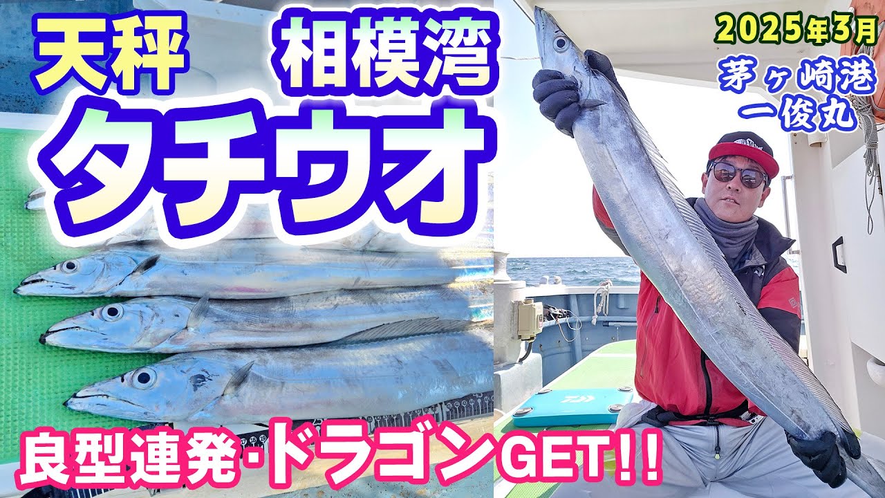 【相模湾・天秤タチウオ】ドラゴンGET！深場苦戦からの鎌倉沖浅場で良型連発【茅ヶ崎漁港 一俊丸】《4K動画》2025.3.21