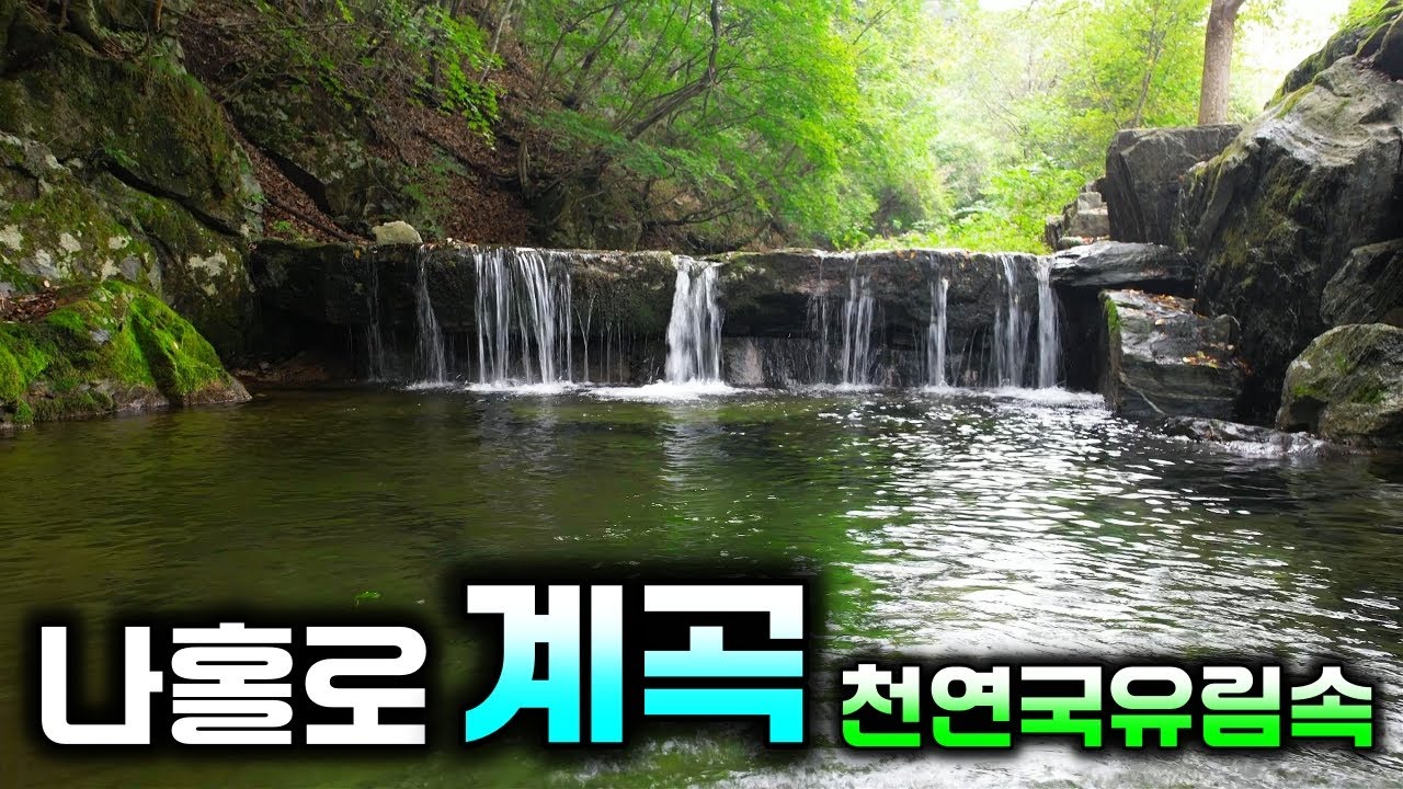 나혼자 쓰는 꼭대기 천연계곡~! 2,000평이 넘는 병지방 명당 토지