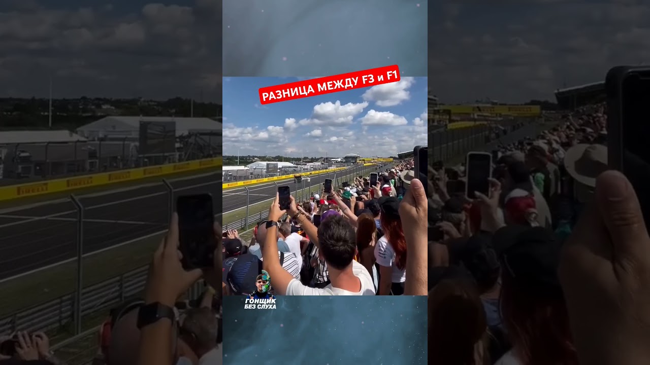 Разница скорости F3 & F1 #формула1 #automobile #ф1 #formula1 #авто
