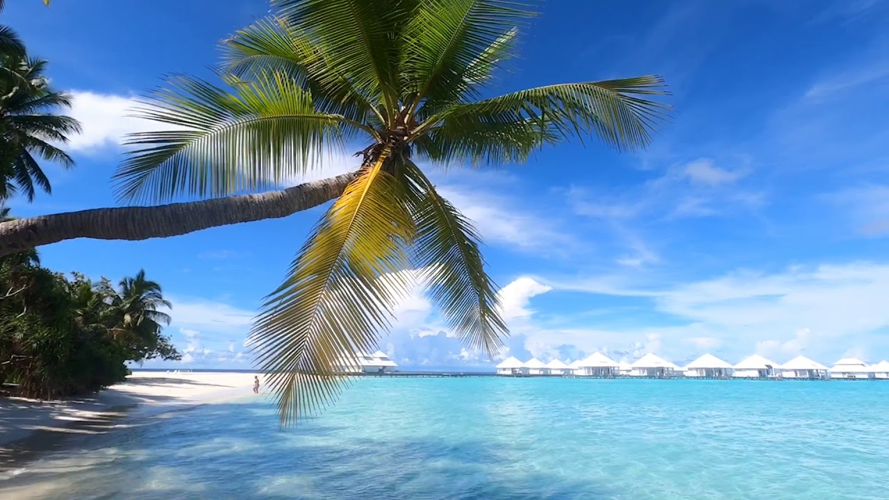 The Island - DIAMONDS ATHURUGA MALDIVES