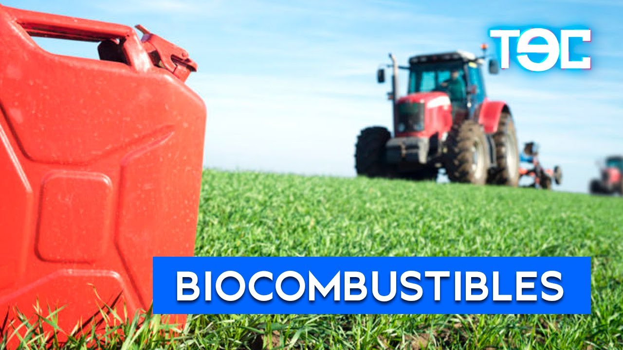 ¿QUÉ SON LOS BIOCOMBUSTIBLES?