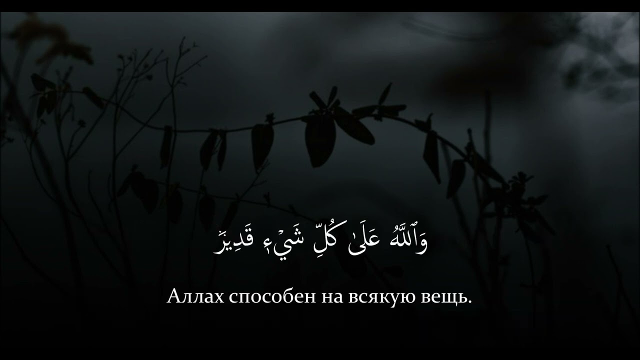 СУРА 5 АЛЬ-МАИДА (ТРАПЕЗА). АРБИ АШ-ШИШАНИ. АЯТЫ: 8-26.
