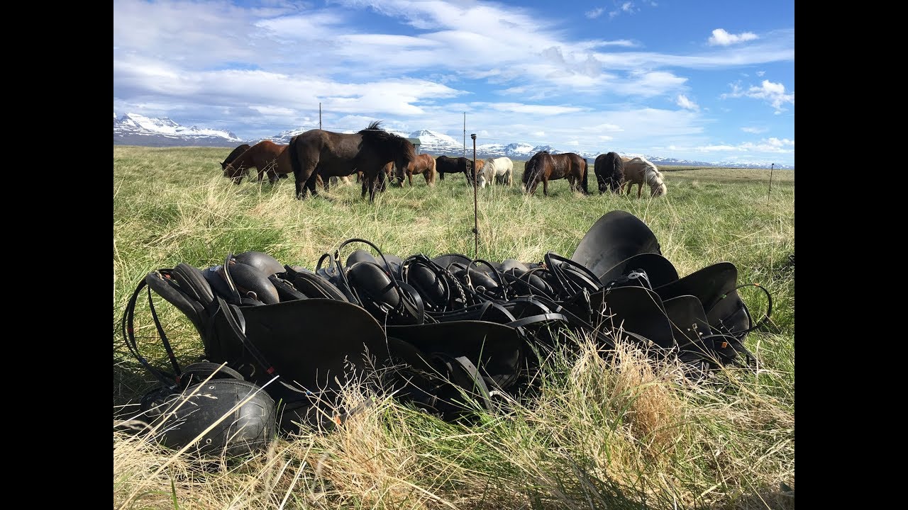 Rando Islande Juin 2018 / Cavalières EAP
