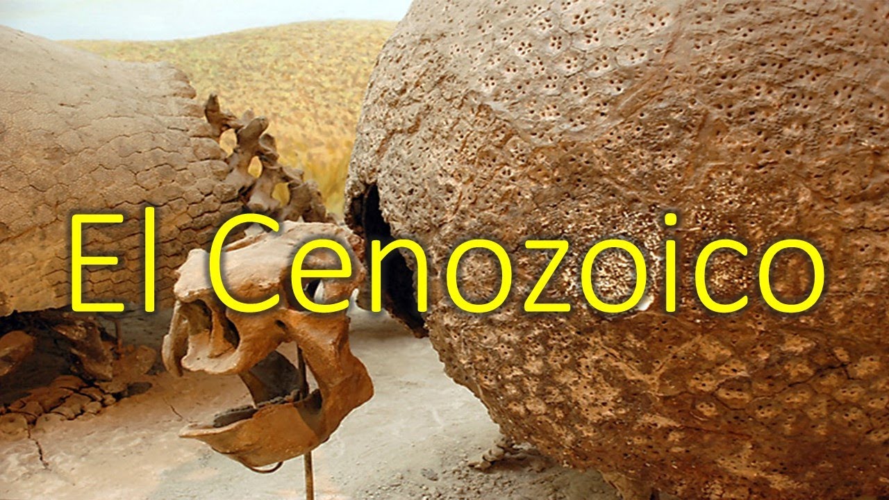 Eras geológicas parte 4 El cenozoico