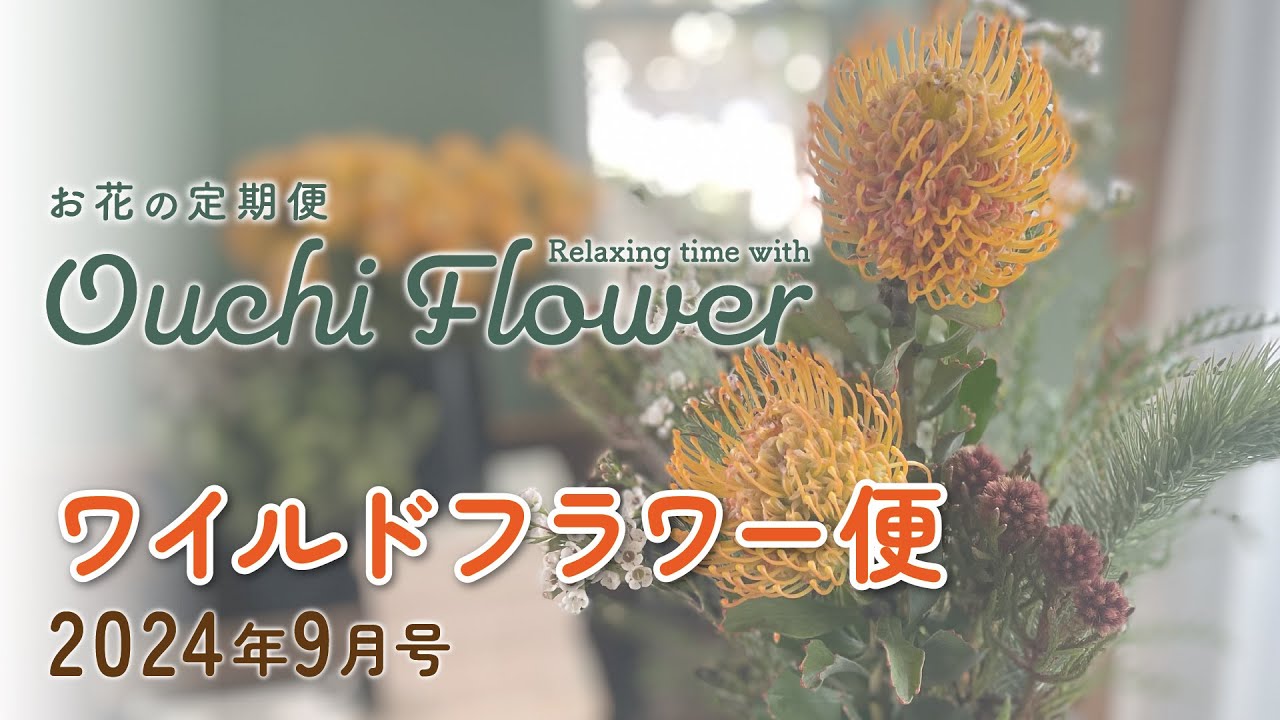 🌳ワイルドフラワー便🌳お花の定期便9月号【おうちフラワー#93】