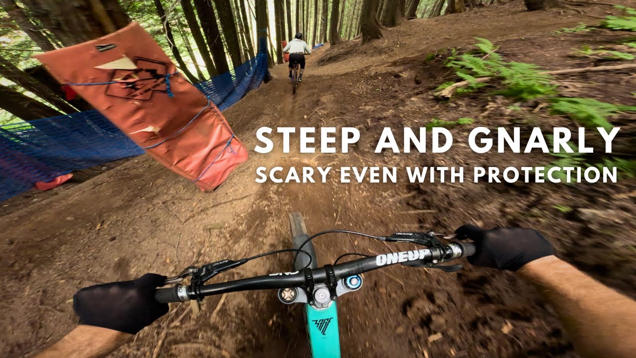 Here is why I have been dreaming to Fernie: