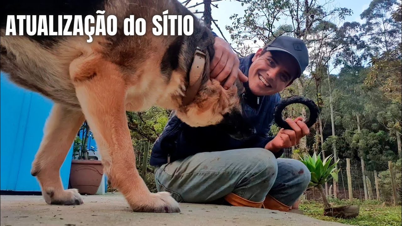 ATUALIZAÇÃO DA PLANTAÇÃO NA ROÇA E HORTA + NOVO  PROJETO NO SÍTIO