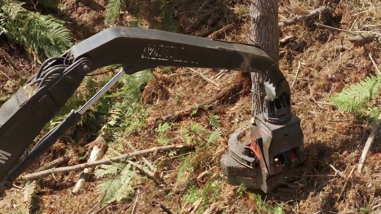 Woodsman 1350