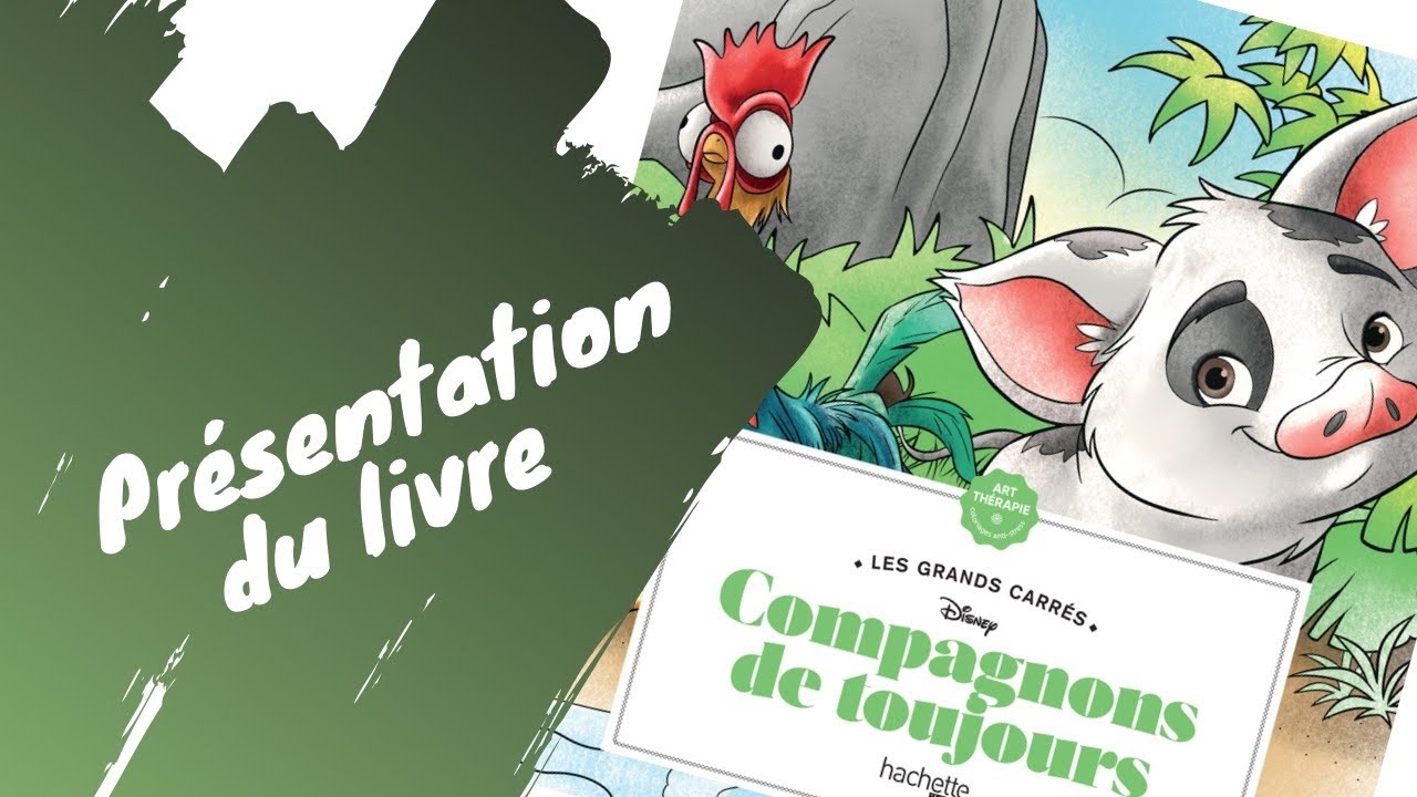Compagnons de toujours - grand carré disney - Hachette Heroes - AVANT PREMIÈRE