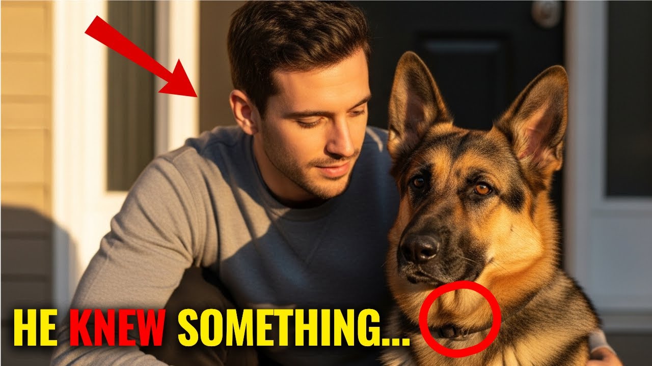 Police K9 Wouldn’t Enter the Abandoned House — His Reason Gave Everyone Goosebumps