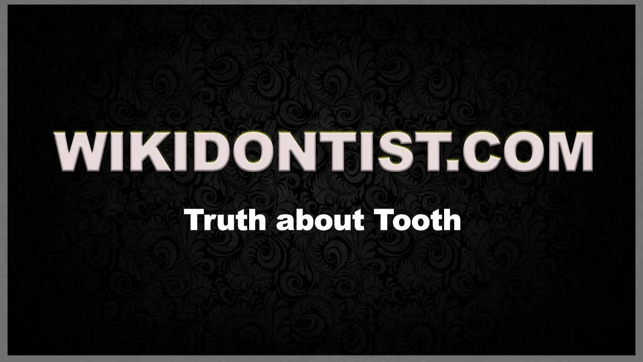 Wikidontist English Channel Introduction // Truth about Tooth // The Complete Dental Health tips