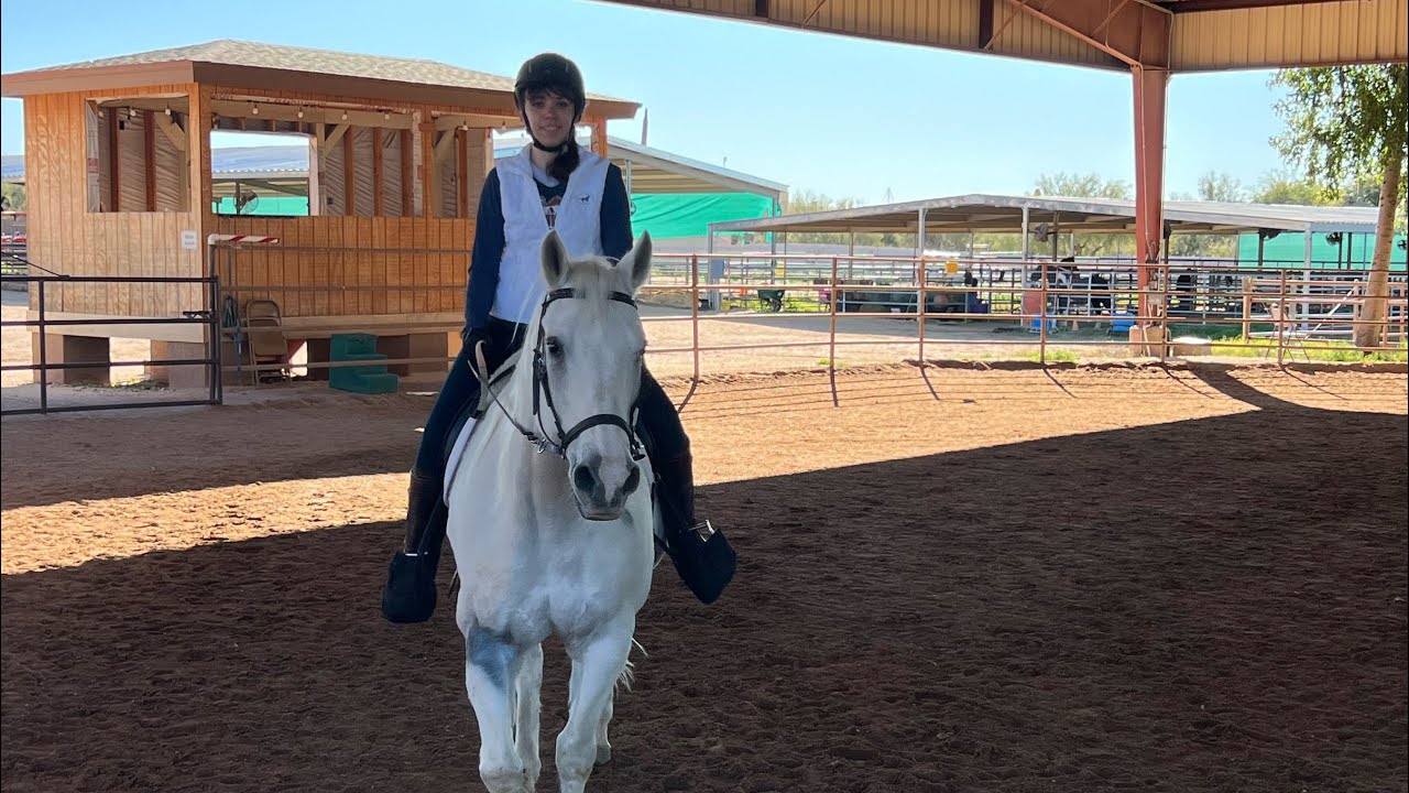 This what i did today I had my horse 🐎Lesson at horse 🐴help riding my horse banjo 