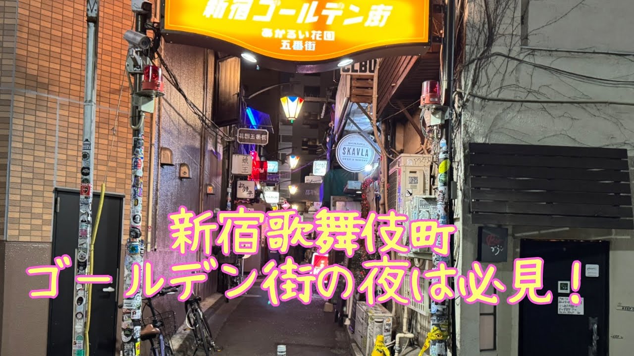 【街歩き】夜の新宿歌舞伎町|Tokya Night Walk in Sinjuku Kabukityo