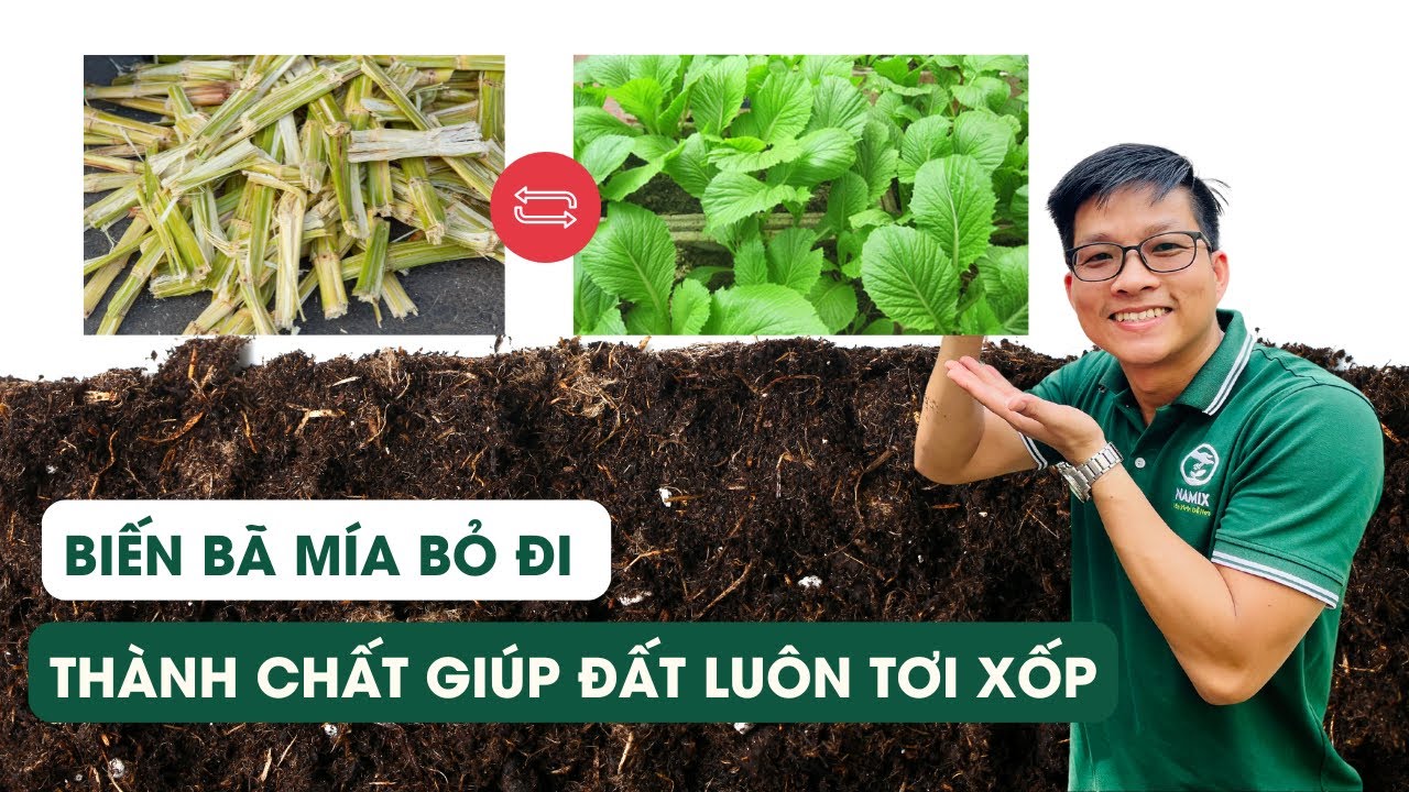 Tập 38 - Cách biến bã mía bỏ đi thành chất dinh dưỡng cho đất trồng