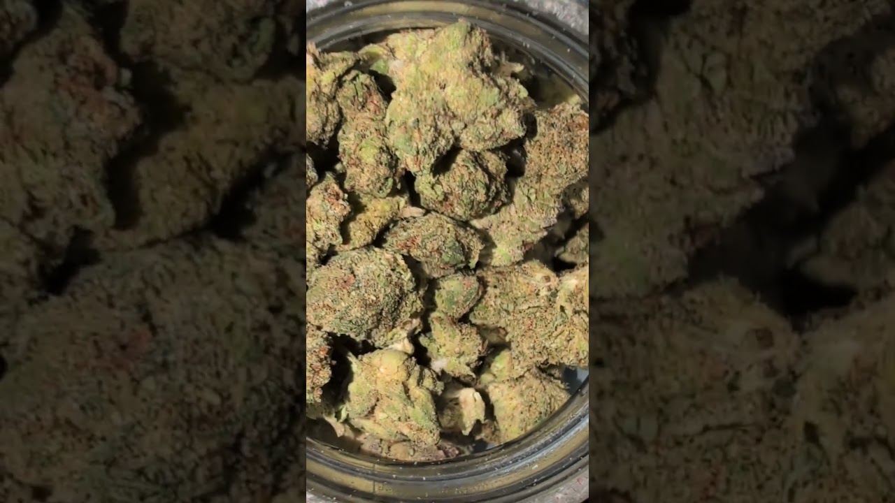 trying out Cookies and Cream THCA weed vs Dispensary Weed review.