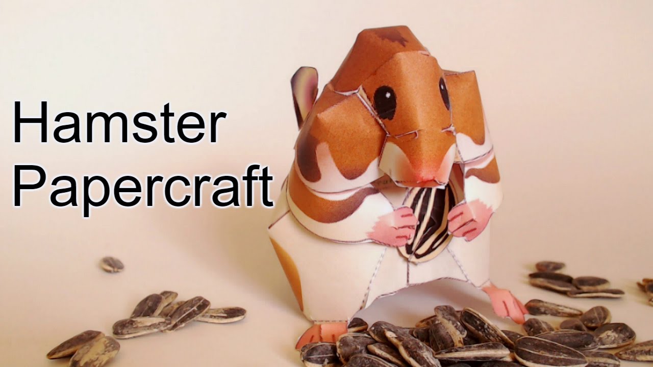 How to make a Cute Paper Hamster | Papercraft | ASMR
