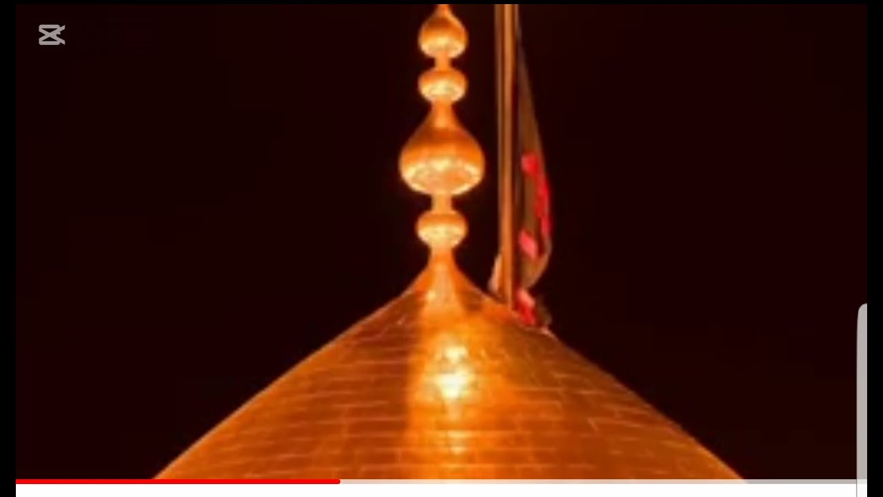 روضه  عاشورایی به صدای سید محمد اسلم موسوی پنجابی