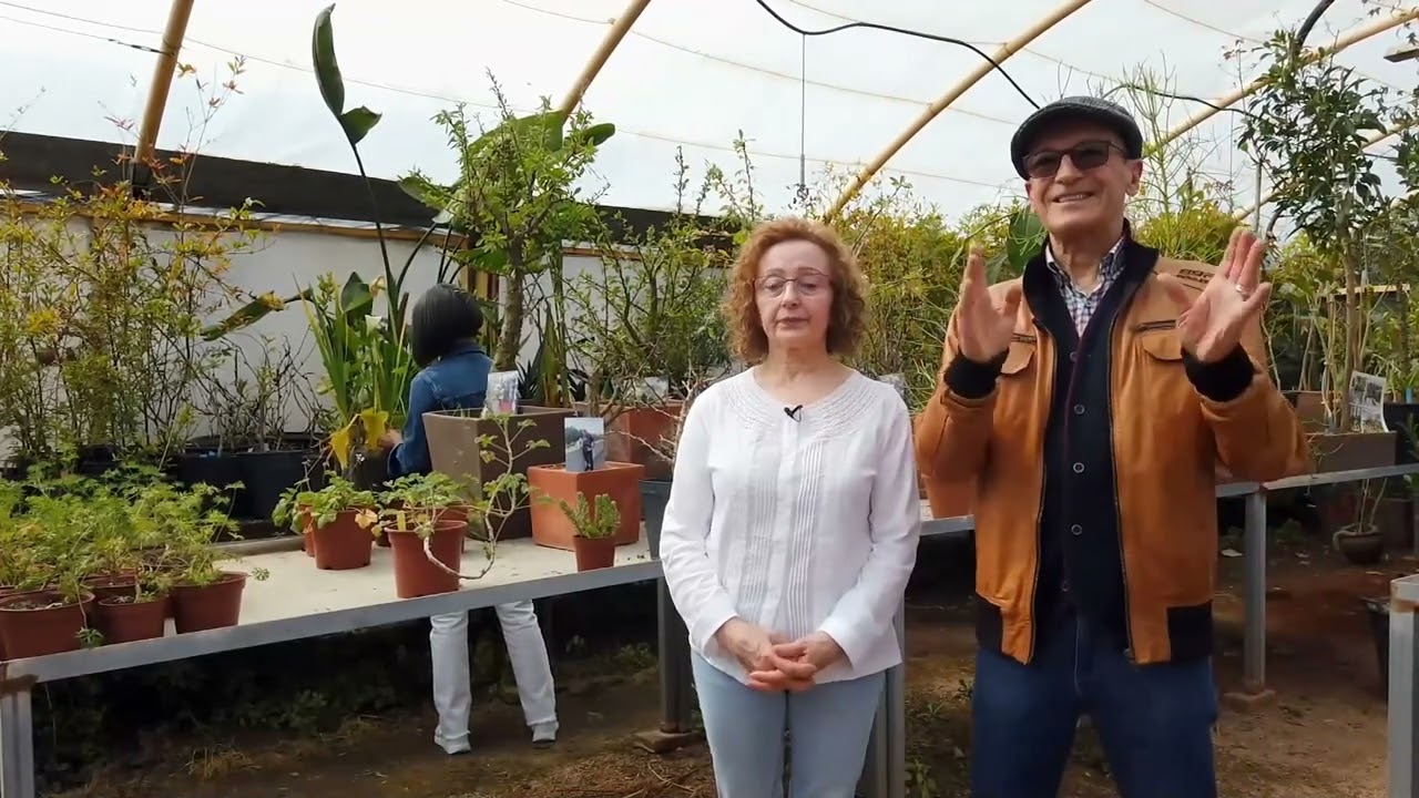 El Jardín Botánico de Córdoba recibe como legado una completa colección de suculentas