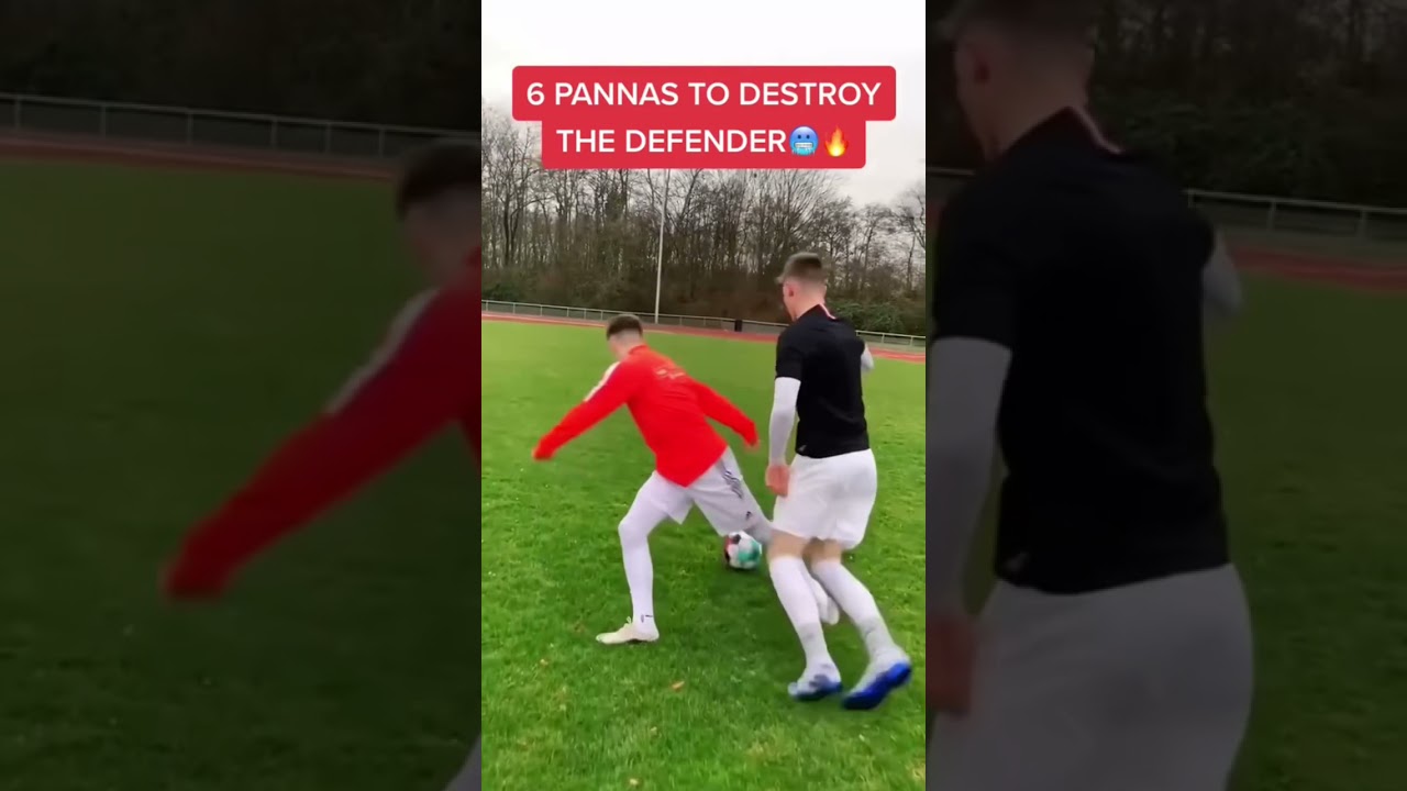 6 PANNAS TO DESTROY THE DEFENDER! 