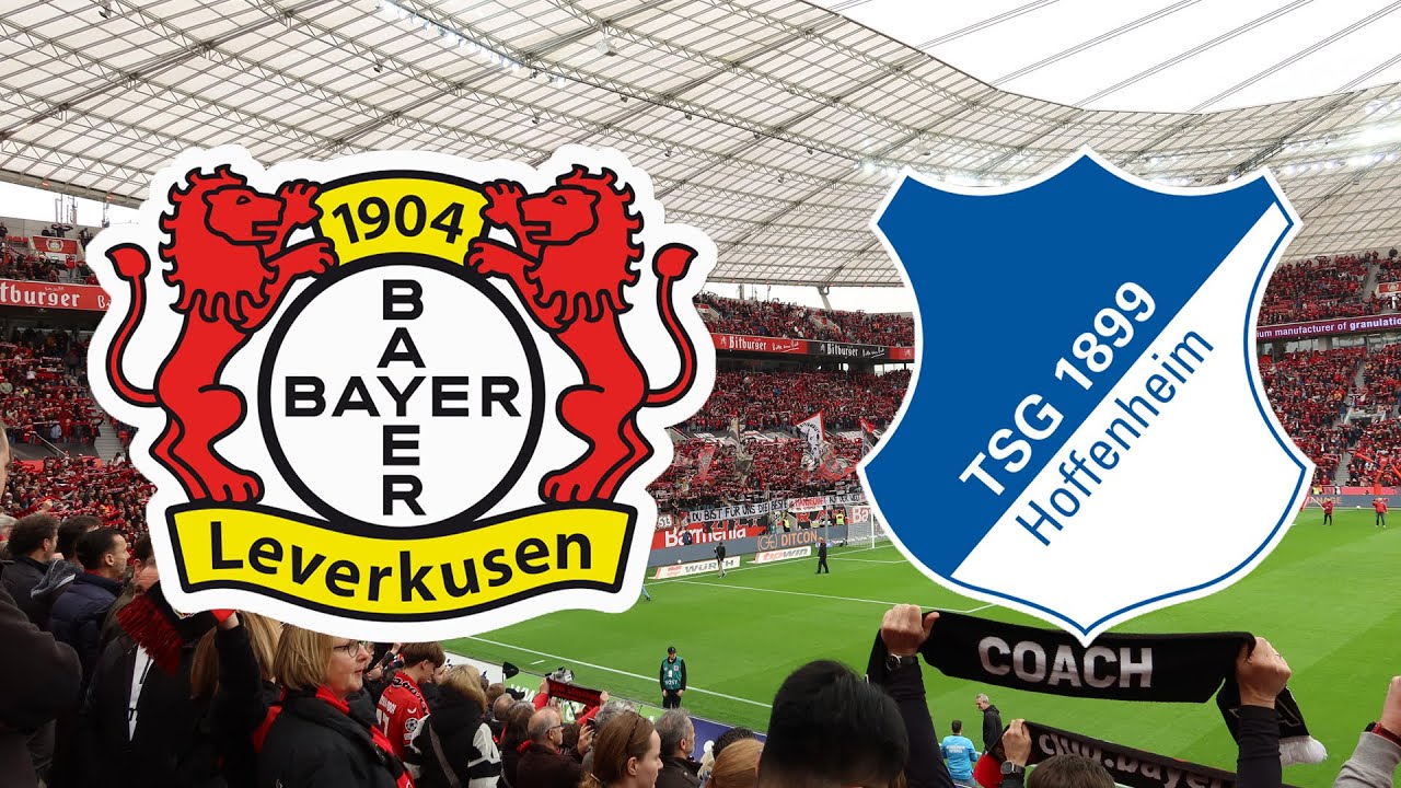 Bayer 04 Leverkusen - TSG 1899 Hoffenheim [Saison 2023/2024] | Impressionen
