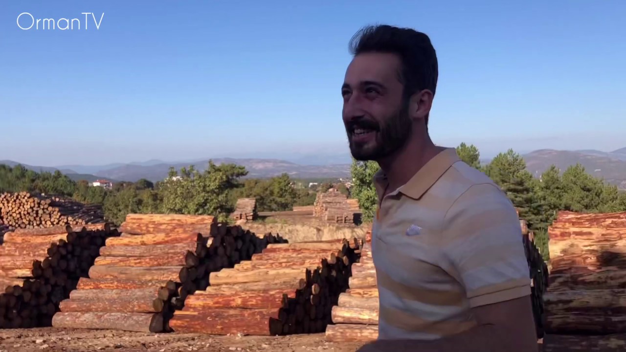 Orman mühendisi nedir, ne iş yapar ?