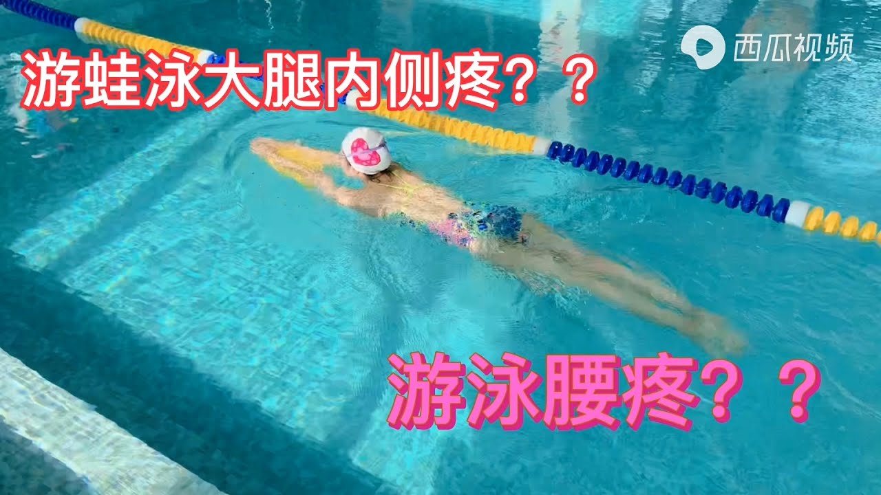 【游泳腰疼？游蛙泳大腿内侧疼？原因在这里？】｜Aimee游泳学堂