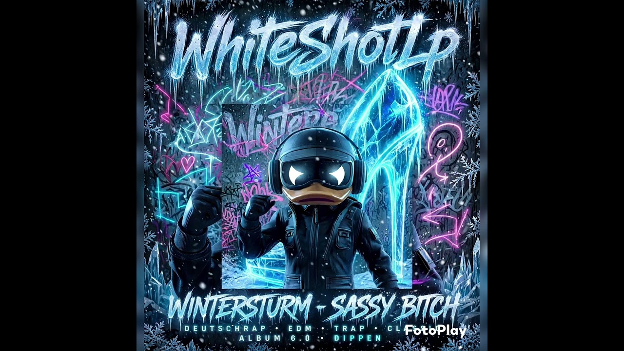 Disstrack Wintersturm - Sassy Bitch deutschrap EDM classic Dippen Album 6.0