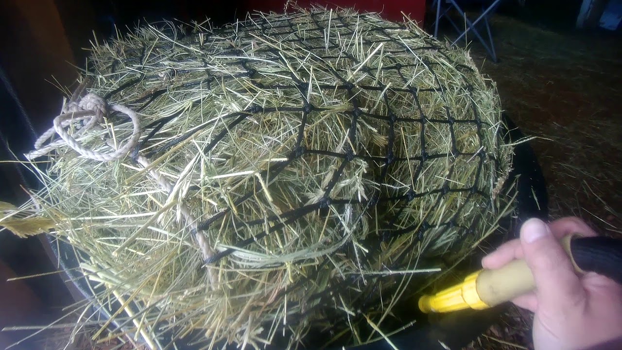 hay soaking adventure Part 1