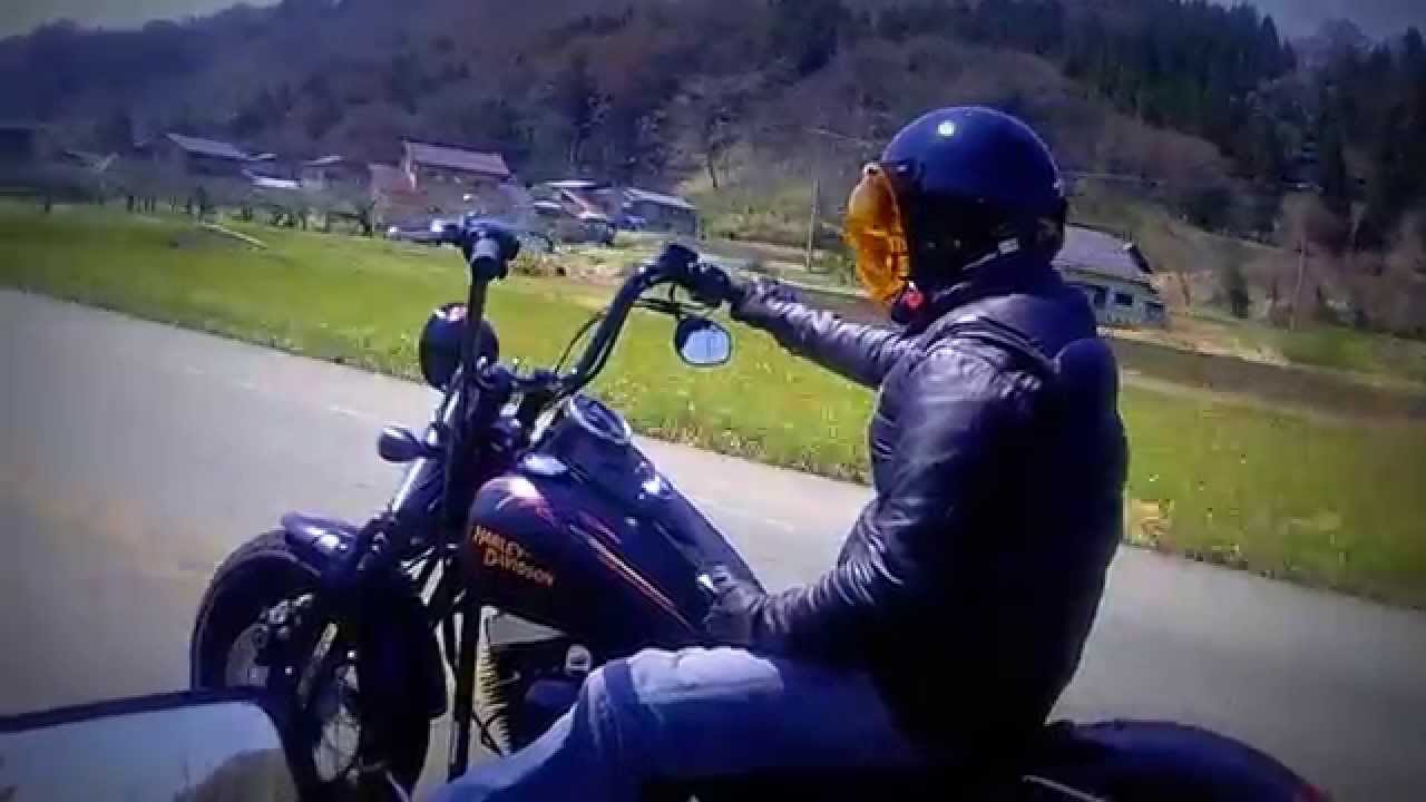 HARLEY-DAVIDSON FLSTSB 