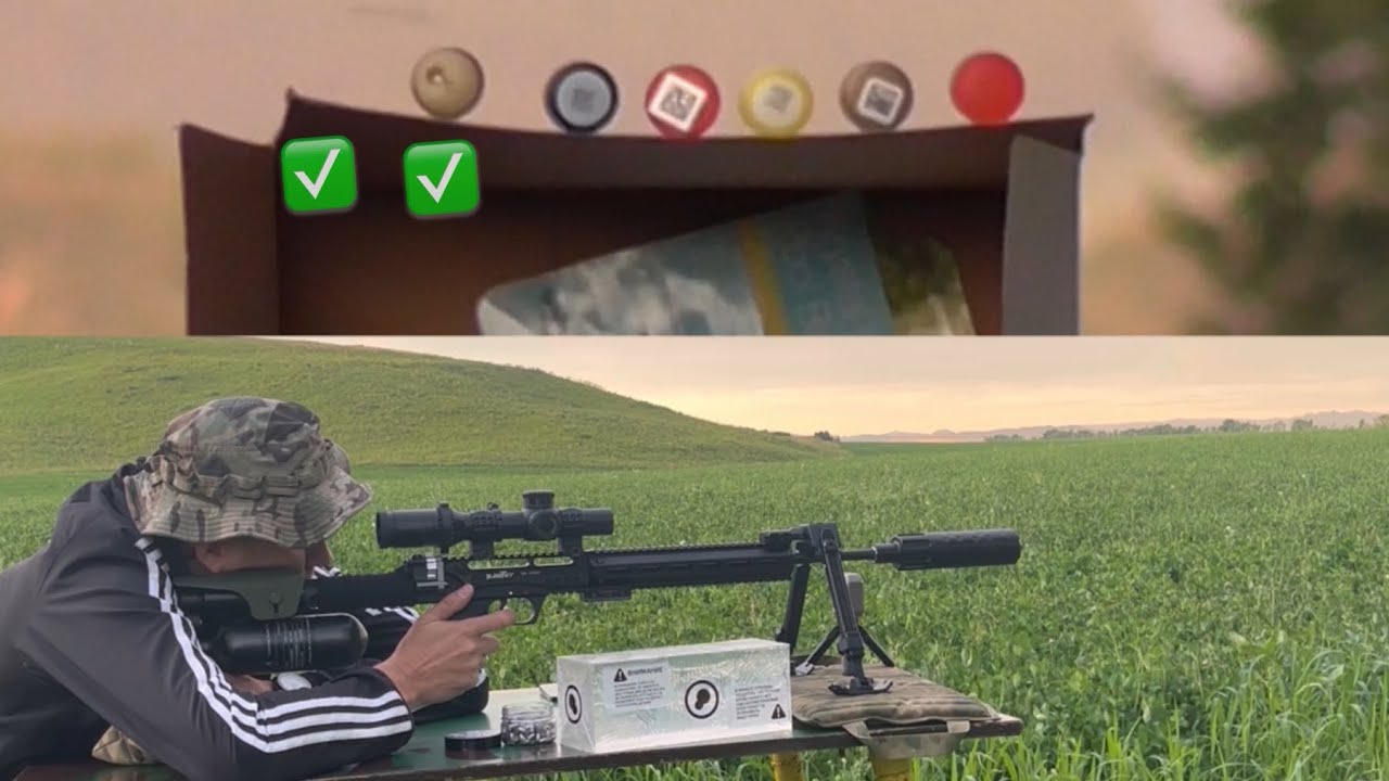 Леший-2 стрельба на 100м