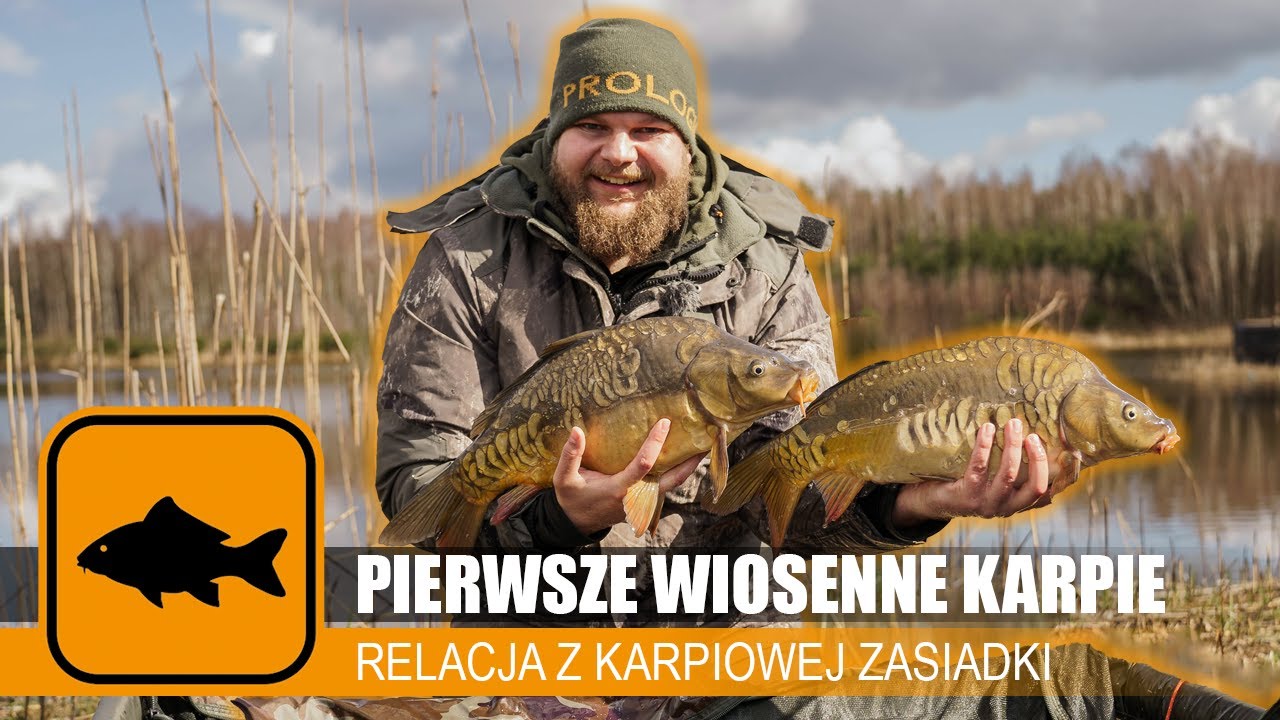 Pierwsze wiosenne karpie ➜ Relacja z karpiowej zasiadki // Prologic