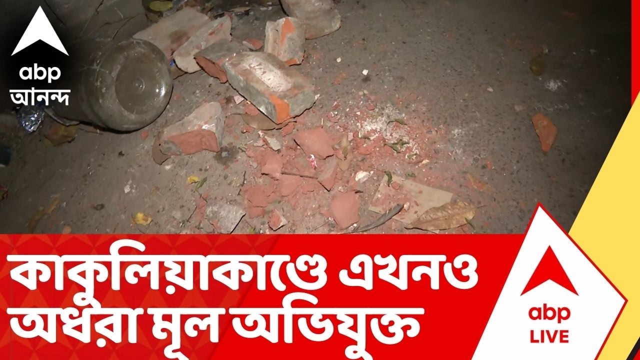 Kolkata News: কাকুলিয়াকাণ্ডে এখনও অধরা মূল অভিযুক্ত সোনা পাপ্পু-সহ ২, ধৃত ১৭ জনের জামিন