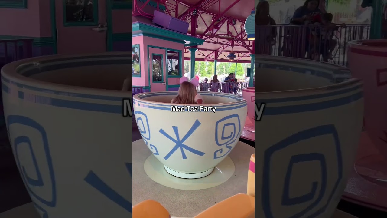 Top 5 Toddler Friendly Rides at Magic Kingdom