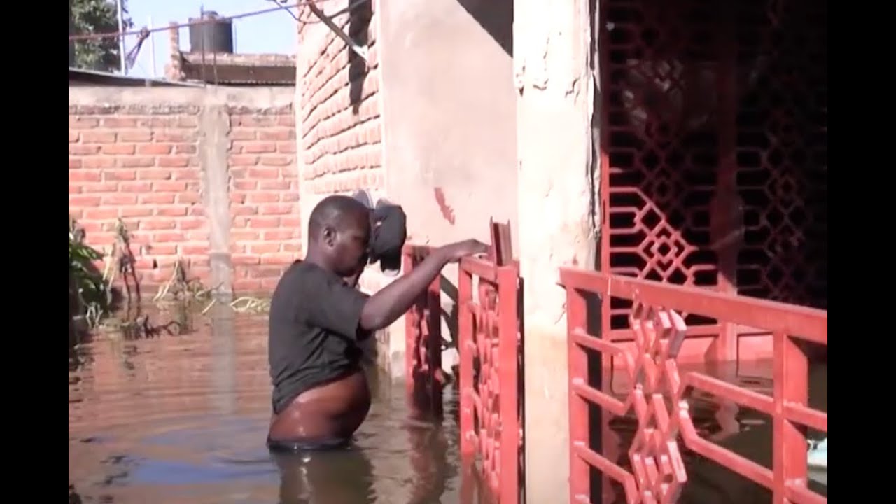 N'Djamena residents call for urgent help as floods ravage Chad