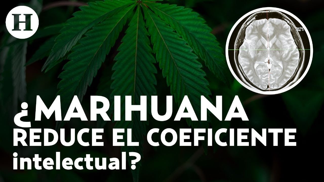 ¿Cómo saber si alguien sufre una adicción? Detecta estas señales a tiempo