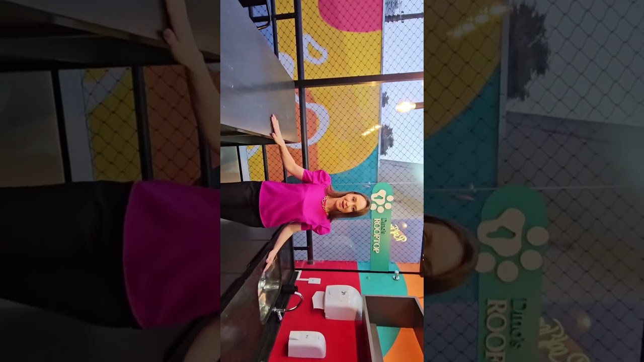PET SHOP COM UM ROOFTOP SUPER LINDO!