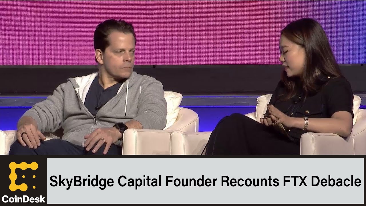 SkyBridge Capital Founder Recounts November Trip to Bahamas Amid FTX Debacle