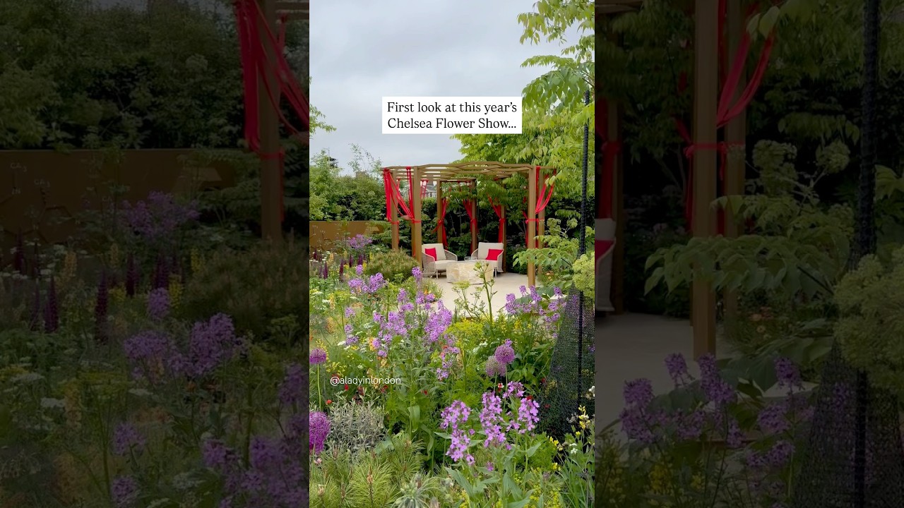 2025 Chelsea Flower Show Preview (details in description) #chelsea #london #chelseaflowershow