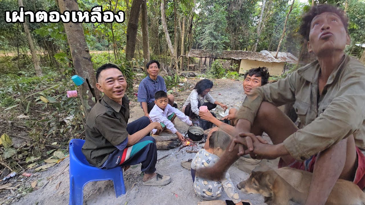 มาดูพฤติกรรมการเอาเปรียบของหัวหน้าเผ่าตองเหลือง คนป่า ตองเหลึอง ຄົນປ່າ ຕອງເຫຼືອງ bn saolao 
