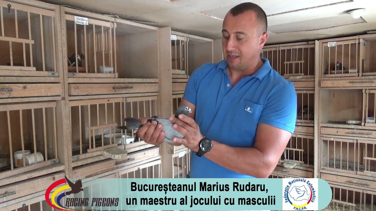 Bucureșteanul Marius Rudaru, un maestru al jocului cu masculii