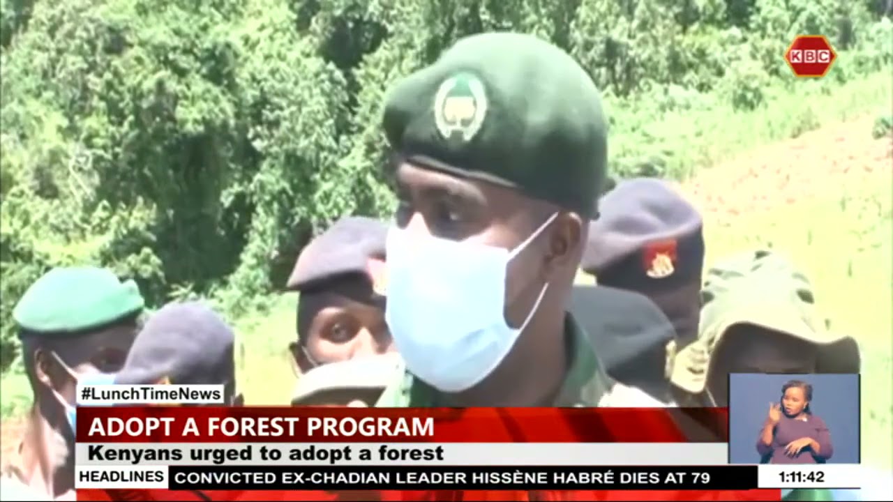 Kenya Forest Service forges partnerships to conserve ecosystems