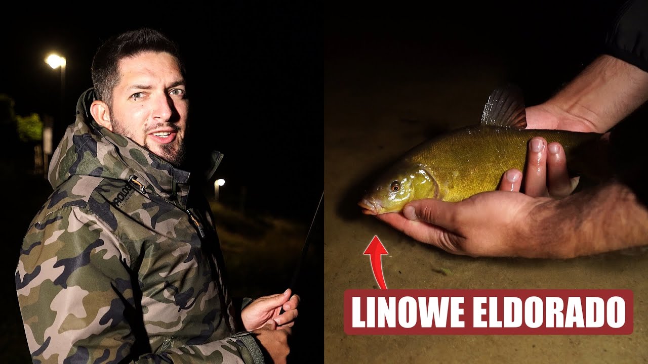 NOCNE połowy RYB ! LINY BRAŁY jak SZALONE
