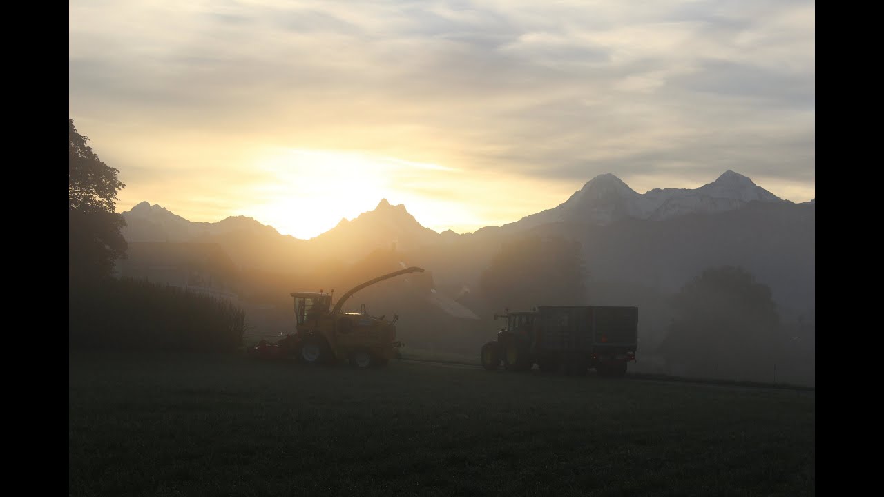 Maisernte 2013 in der Schweiz