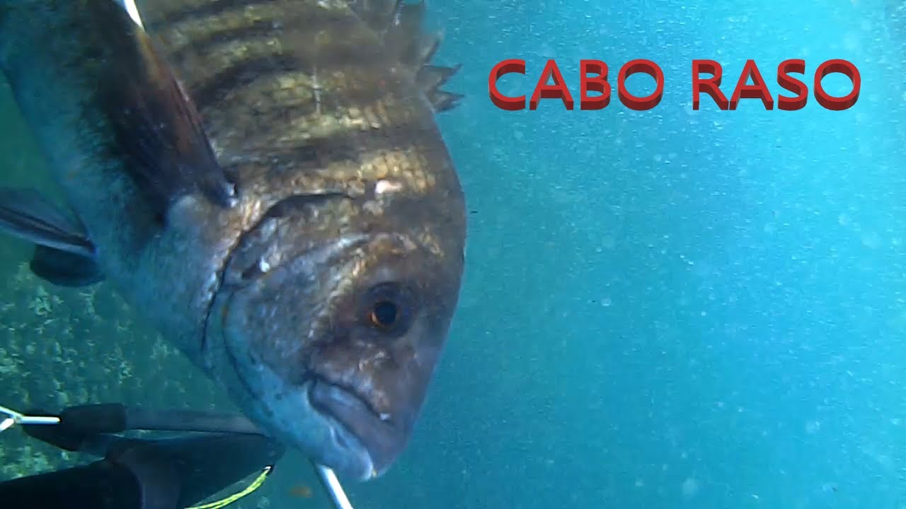 Pesca Submarina em Cascais - Maio 2021
