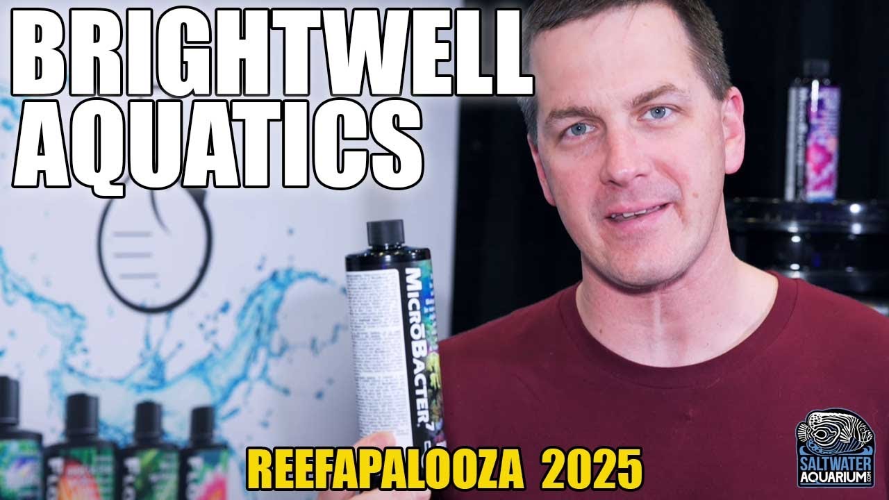Brightwell Aquatics COMPLETE Bacteria Line For Aquariums - Reefapalooza Dallas 2025