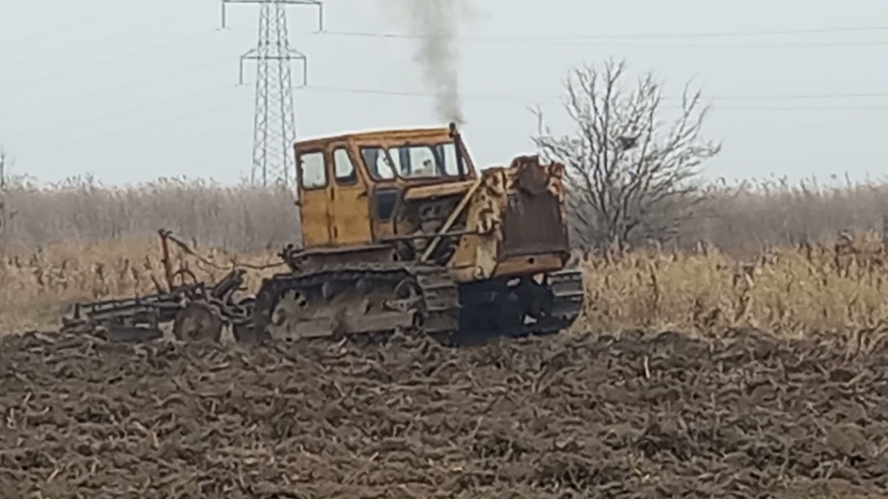 t 100