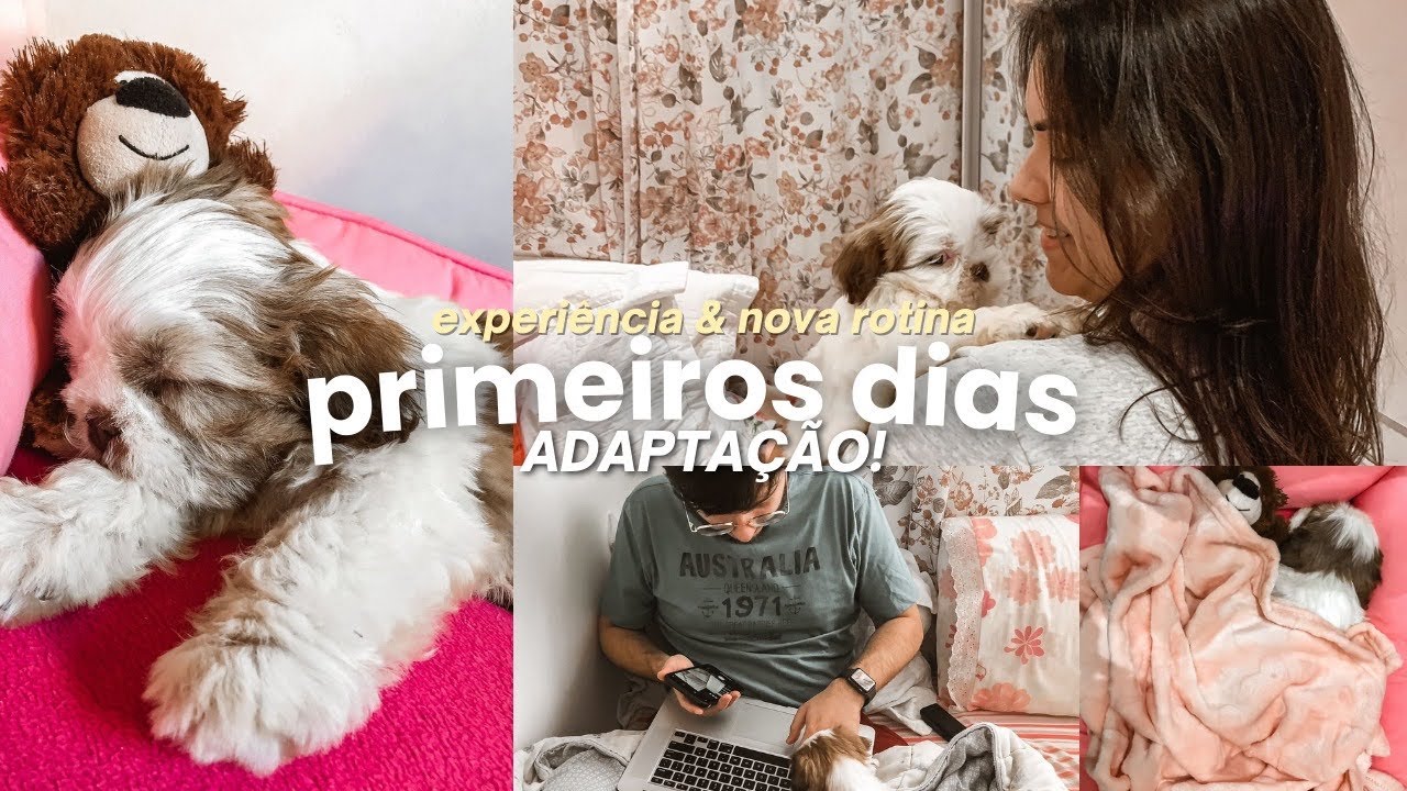 PRIMEIRA SEMANA COM MINHA SHIHTZU | VLOG