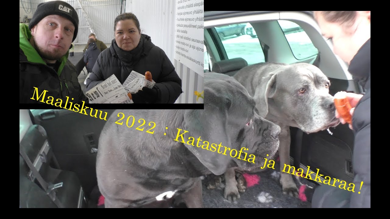 Maaliskuu 2022 : Katastrofireissu ja juhlan tunnelmaa!
