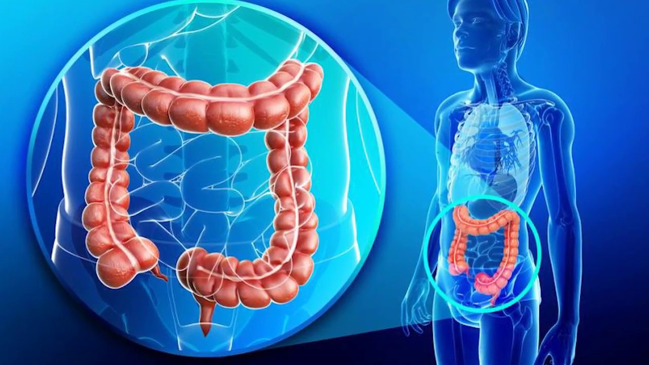 IZBACITE OTROVE IZ DEBELOG CRIJEVA! Prof. dr Mihajlović
