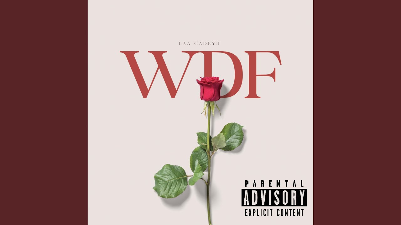 WDF
